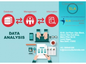 SLA Consultants  Gurgaon : Best Data Analyst Training Course